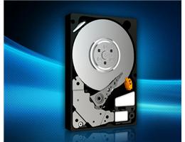 HDD WD RE4 ENTERPRISE 500GB WD5003ABYX